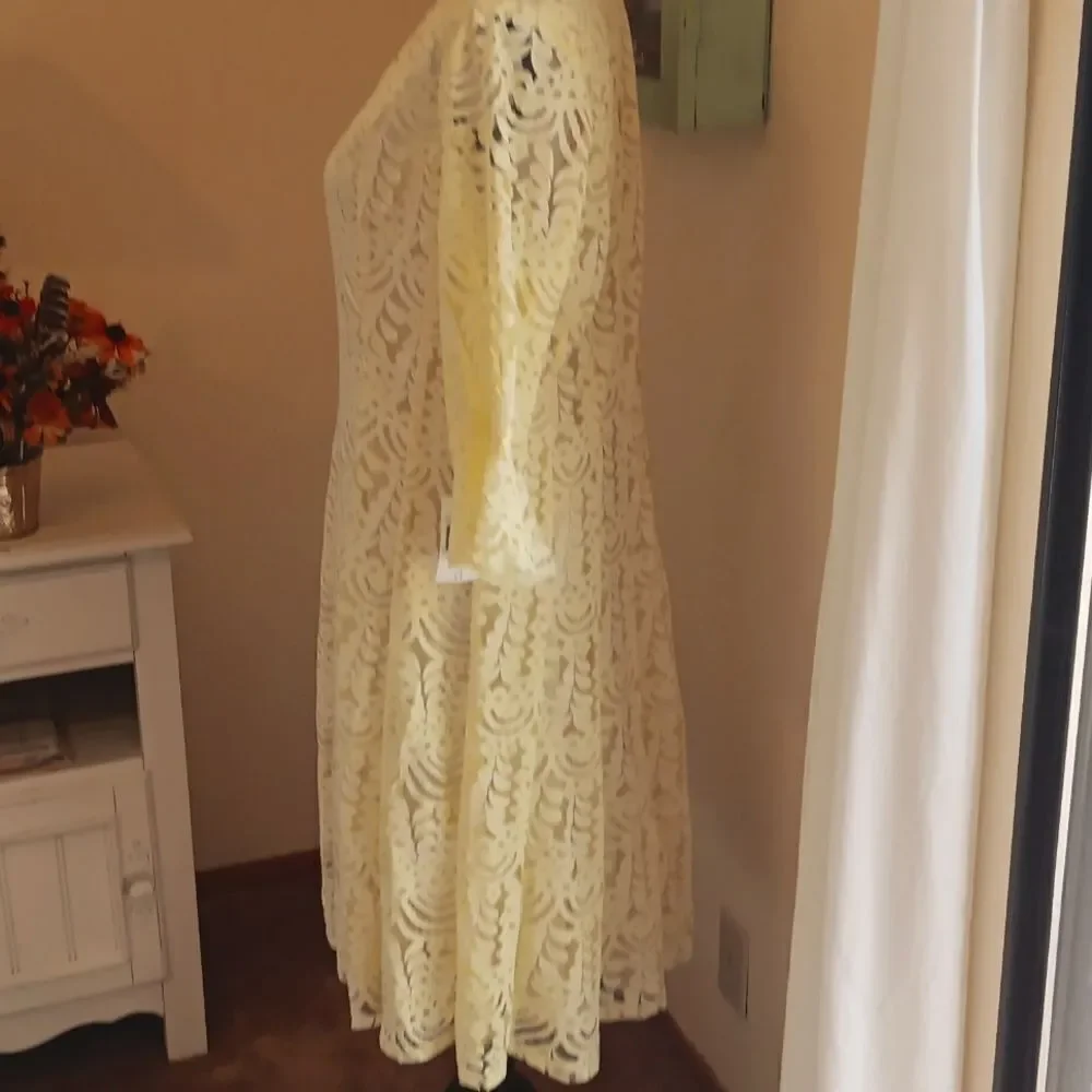 NWT Rabbit Rabbit Rabbit Yellow Lace Dress - Picture 5 of 13